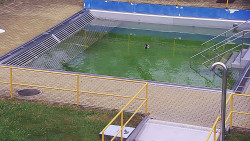 Whirlpool koupaliště Rusava