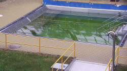Whirlpool koupaliště Rusava