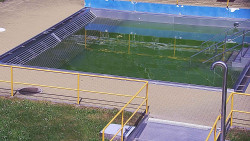 Whirlpool koupaliště Rusava