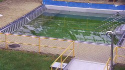 Whirlpool koupaliště Rusava