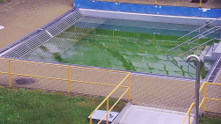 Whirlpool koupaliště Rusava