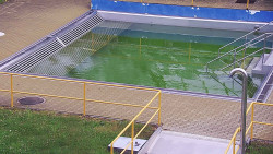 Whirlpool koupaliště Rusava
