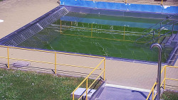 Whirlpool koupaliště Rusava