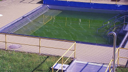 Whirlpool koupaliště Rusava