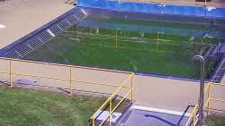 Whirlpool koupaliště Rusava