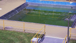 Whirlpool koupaliště Rusava