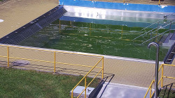 Whirlpool koupaliště Rusava