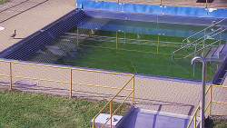Whirlpool koupaliště Rusava