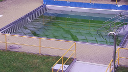 Whirlpool koupaliště Rusava