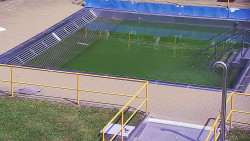 Whirlpool koupaliště Rusava