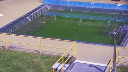 Whirlpool koupaliště Rusava