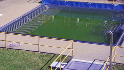 Whirlpool koupaliště Rusava