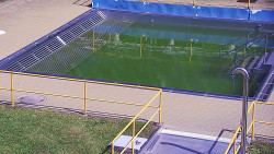 Whirlpool koupaliště Rusava