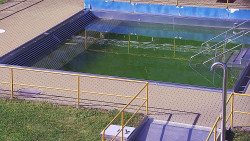 Whirlpool koupaliště Rusava
