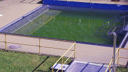 Whirlpool koupaliště Rusava