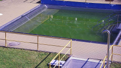 Whirlpool koupaliště Rusava