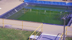 Whirlpool koupaliště Rusava