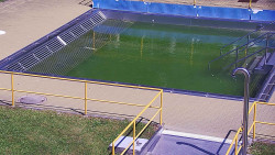 Whirlpool koupaliště Rusava