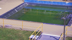 Whirlpool koupaliště Rusava