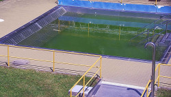 Whirlpool koupaliště Rusava
