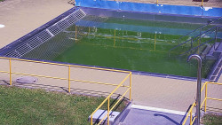 Whirlpool koupaliště Rusava