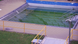 Whirlpool koupaliště Rusava