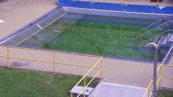 Whirlpool koupaliště Rusava