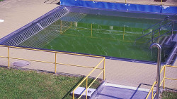 Whirlpool koupaliště Rusava