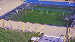 Whirlpool koupaliště Rusava