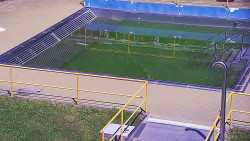 Whirlpool koupaliště Rusava
