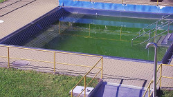 Whirlpool koupaliště Rusava