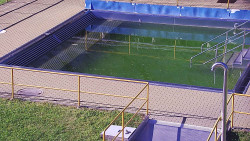 Whirlpool koupaliště Rusava