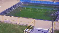 Whirlpool koupaliště Rusava