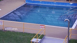 Schwimmbad Rusava - Whirlpoolbad Rusava - 31.7.2026 v 20:30 Schwimmbad Rusava - Whirlpoolbad Rusava - 31.7.2026 v 20:30