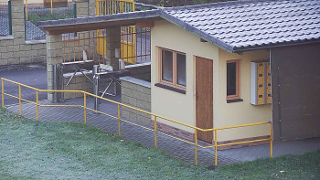 Snímek    31.10.2025 v 07:32