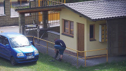 Pokladna
