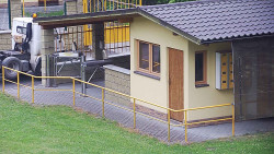 Pokladna
