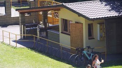 Kasse