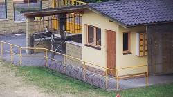 Pokladna