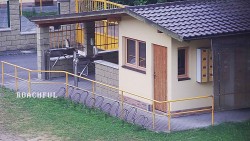 Pokladna