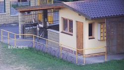 Pokladna