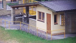 Pokladna