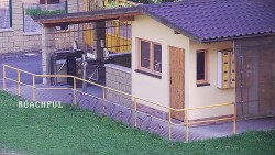 Pokladna