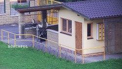 Kasse