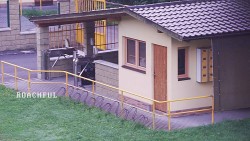 Pokladna