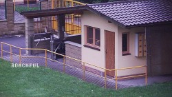 Pokladna