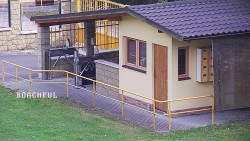 Pokladna