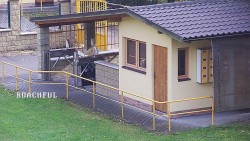 Pokladna