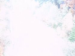 Kamera na svahu B, nástup vleku