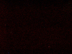 Kamera na svahu B, nástup vleku